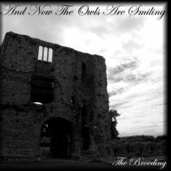 And Now The Owls Are Smiling : The Brooding